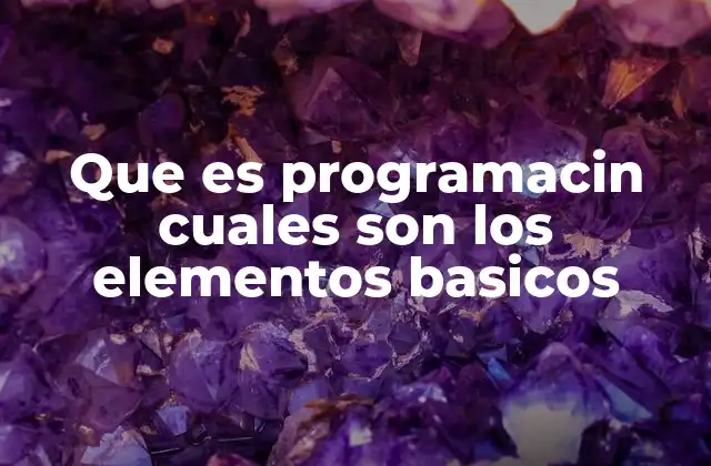 Los cimientos de la lógica computacional