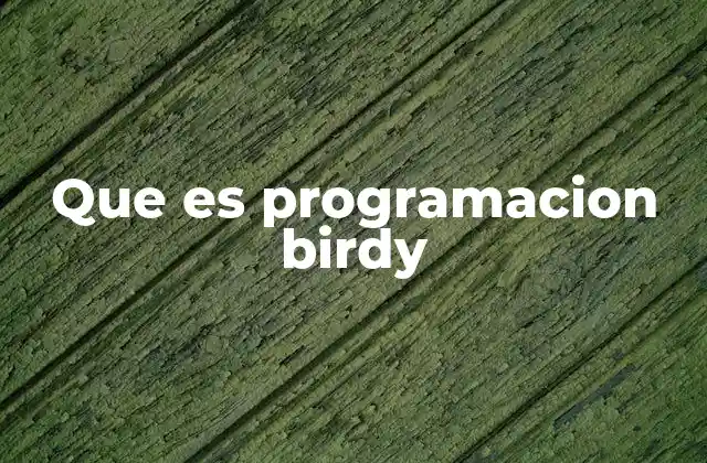 Que es Programacion Birdy