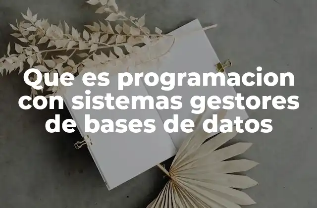 Que es Programacion con Sistemas Gestores de Bases de Datos