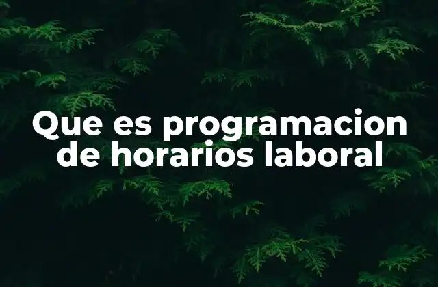Que es Programacion de Horarios Laboral