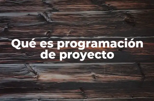 Qué es Programación de Proyecto