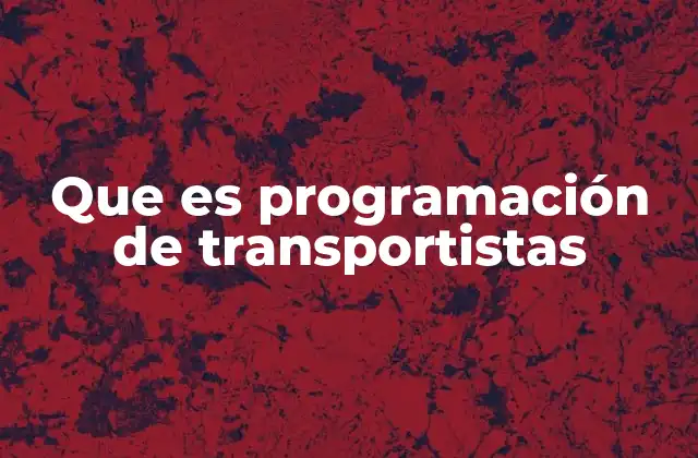 Que es Programación de Transportistas