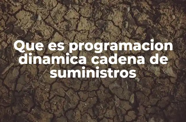 Que es Programacion Dinamica Cadena de Suministros