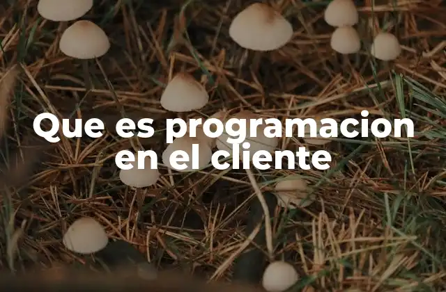 Que es Programacion en el Cliente