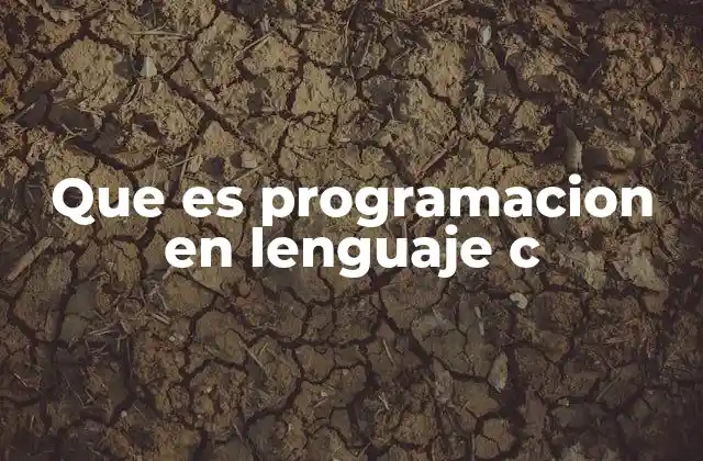 Que es Programacion en Lenguaje C
