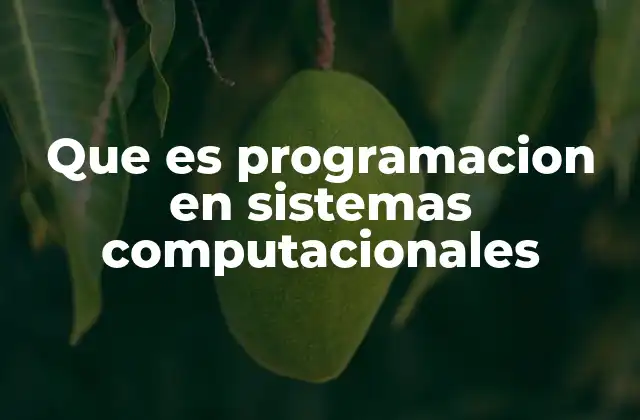 Que es Programacion en Sistemas Computacionales