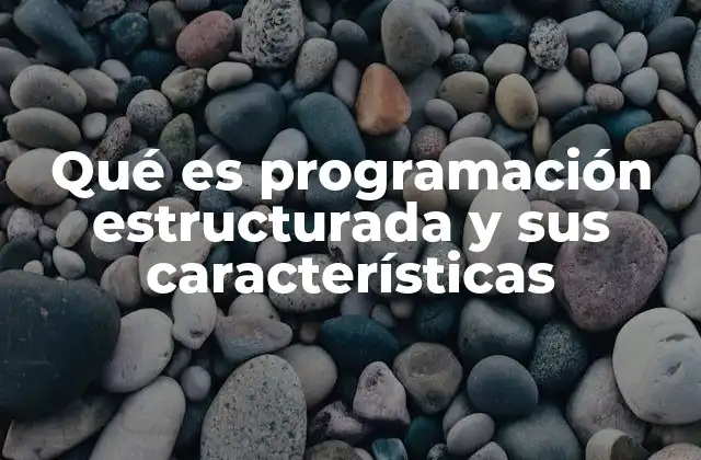 Qué es Programación Estructurada y Sus Características 2 Cómo la programación estructurada mejora la calidad del software
