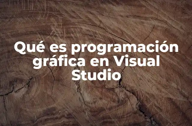 Qué es Programación Gráfica en Visual Studio 2 Cómo se implementa la programación gráfica en Visual Studio