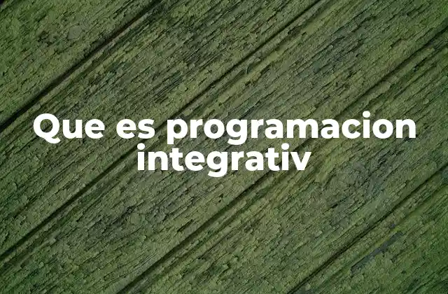 Que es Programacion Integrativ