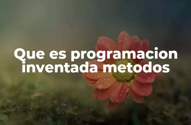 Que es Programacion Inventada Metodos