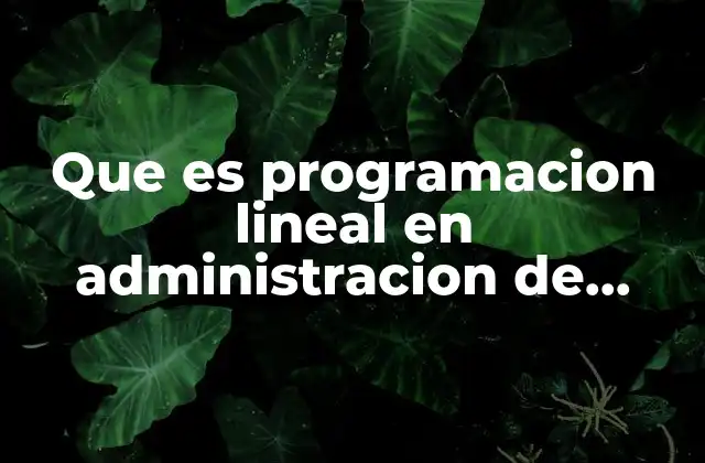 Aplicaciones de la programación lineal en la toma de decisiones empresariales