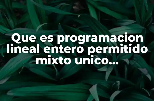 Que es Programacion Lineal Entero Permitido Mixto Unico Compartido