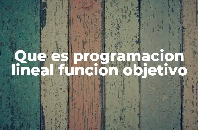 Que es Programacion Lineal Funcion Objetivo