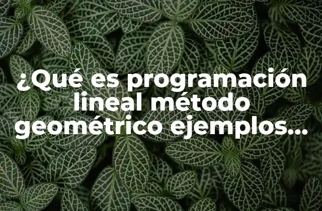 ¿qué es Programación Lineal Método Geométrico Ejemplos Fáciles?
