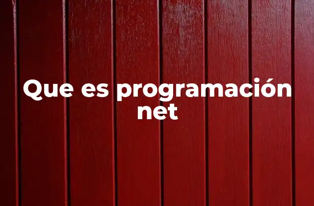 Que es Programación Net