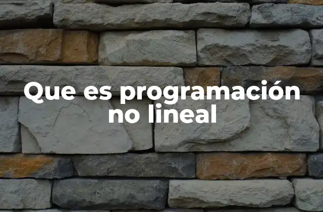 Que es Programación No Lineal