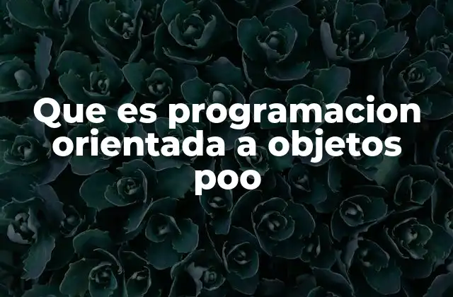 Que es Programacion Orientada a Objetos Poo