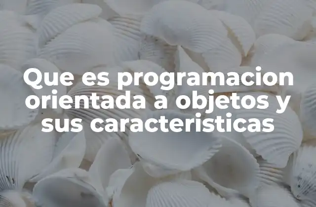 Fundamentos de la programación orientada a objetos
