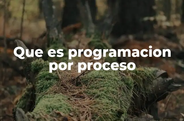 Que es Programacion por Proceso