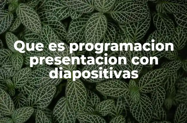 Que es Programacion Presentacion con Diapositivas