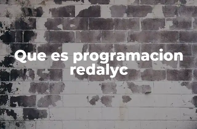 Que es Programacion Redalyc
