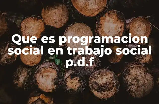 Que es Programacion Social en Trabajo Social P.d.f