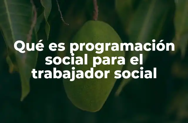 La importancia de la planificación en la acción social