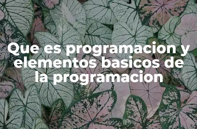 Que es Programacion y Elementos Basicos de la Programacion