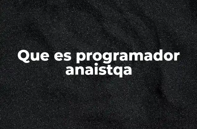 Que es Programador Anaistqa