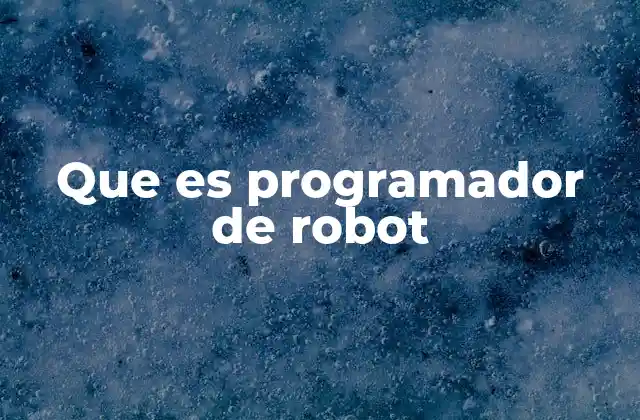 Que es Programador de Robot
