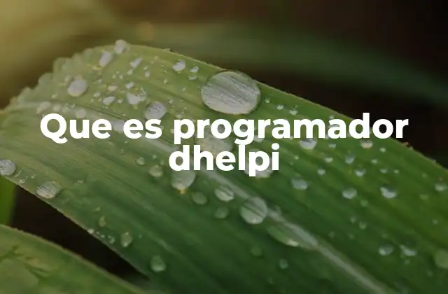 Que es Programador Dhelpi