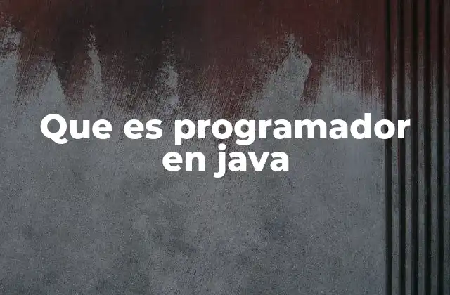 Que es Programador en Java