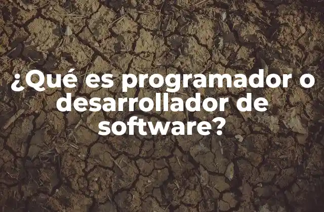 ¿qué es Programador o Desarrollador de Software?