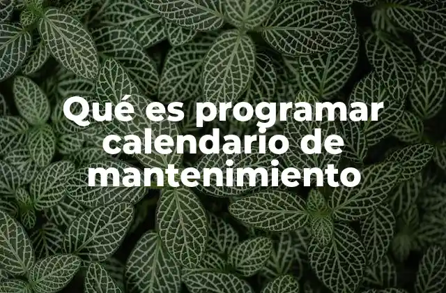 Qué es Programar Calendario de Mantenimiento
