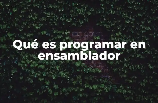 Qué es Programar en Ensamblador