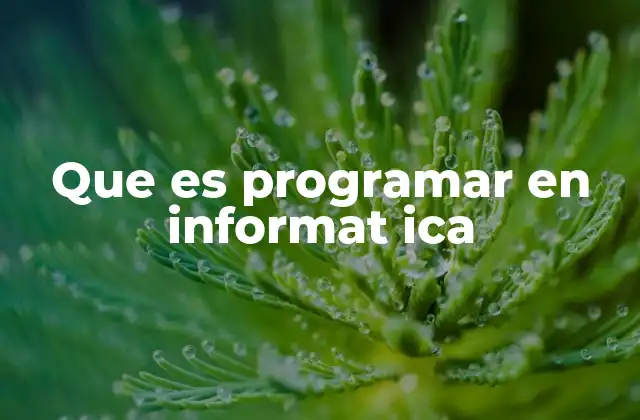 Que es Programar en Informat Ica 2 La importancia de la programación en la era digital