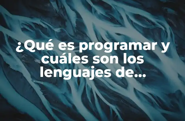 ¿qué es Programar y Cuáles Son los Lenguajes de Programación?