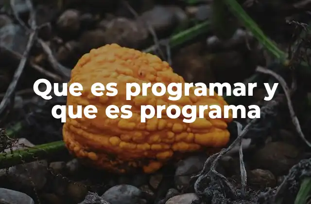 Que es Programar y que es Programa