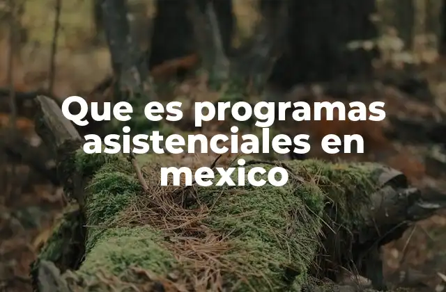Que es Programas Asistenciales en Mexico
