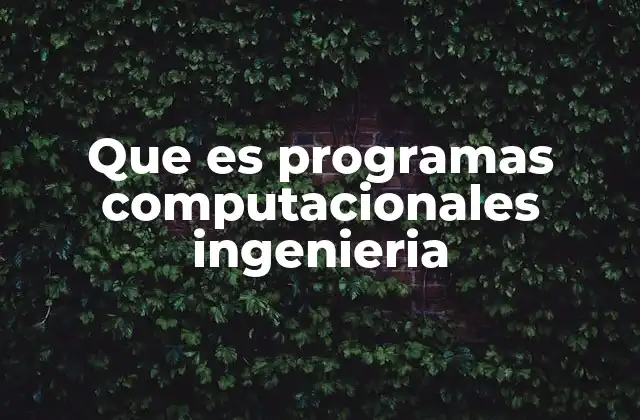 Que es Programas Computacionales Ingenieria