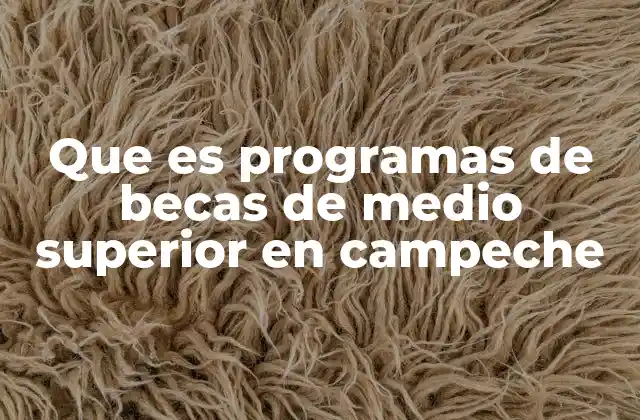 Que es Programas de Becas de Medio Superior en Campeche