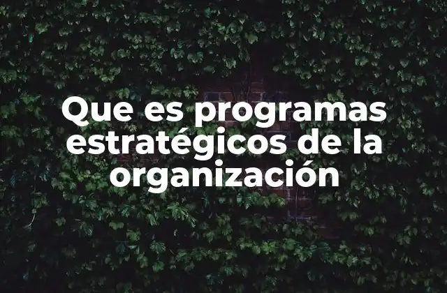 Que es Programas Estratégicos de la Organización