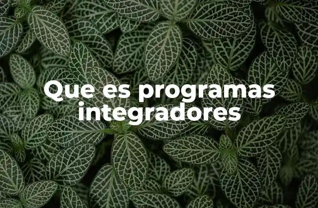 Que es Programas Integradores