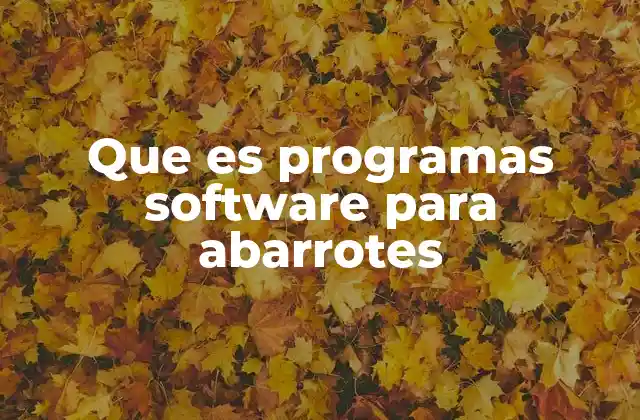 Que es Programas Software para Abarrotes