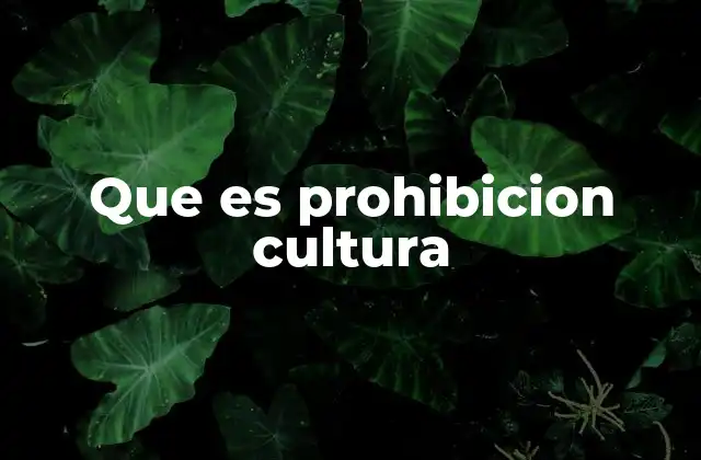 Que es Prohibicion Cultura