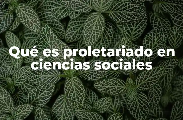 Qué es Proletariado en Ciencias Sociales 2 La dinámica del proletariado en la estructura social