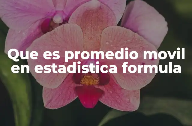 Cómo se aplica el promedio móvil en el análisis de datos