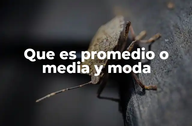 Que es Promedio o Media y Moda