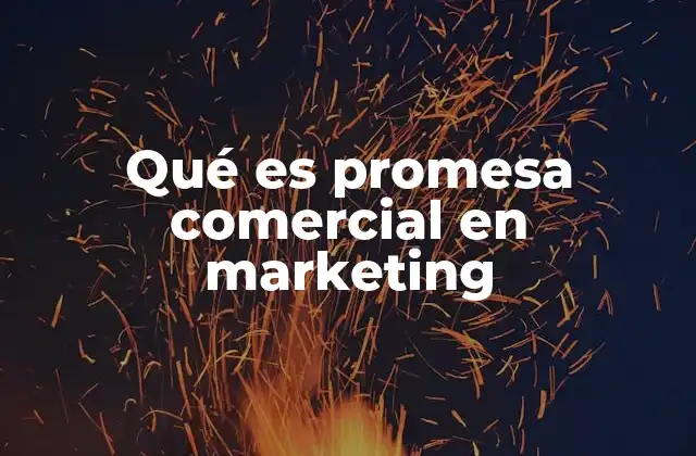 Qué es Promesa Comercial en Marketing