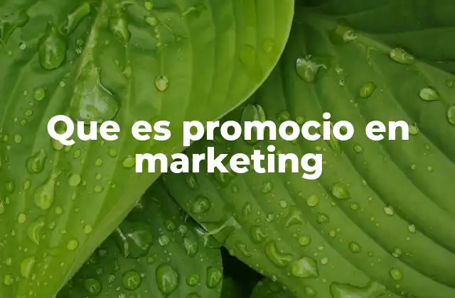 Que es Promocio en Marketing